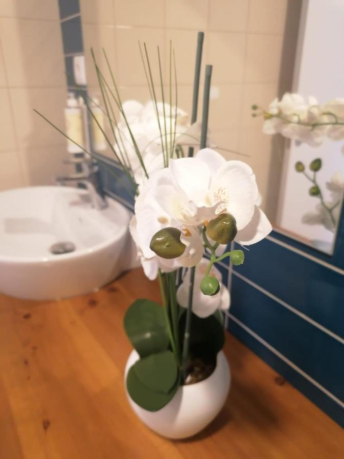Apartamento Graciosa - Sta Catarina Place Ponta Delgada Esterno foto